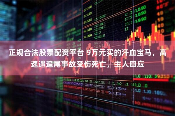 正规合法股票配资平台 9万元买的汗血宝马，高速遇追尾事故受伤死亡，主人回应